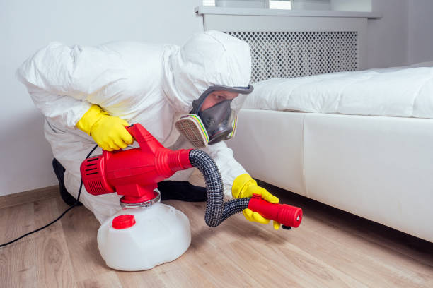 Emergency Pest Control Services in Cudahy, CA